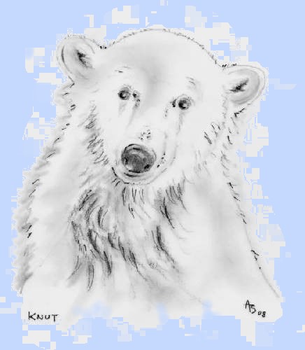 Knut