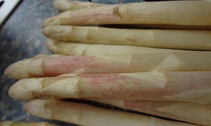 Spargel